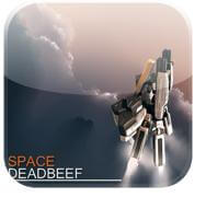 space-dee21