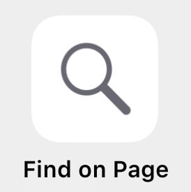1. Icono Find On Page