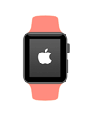 Apple Watch Firmware