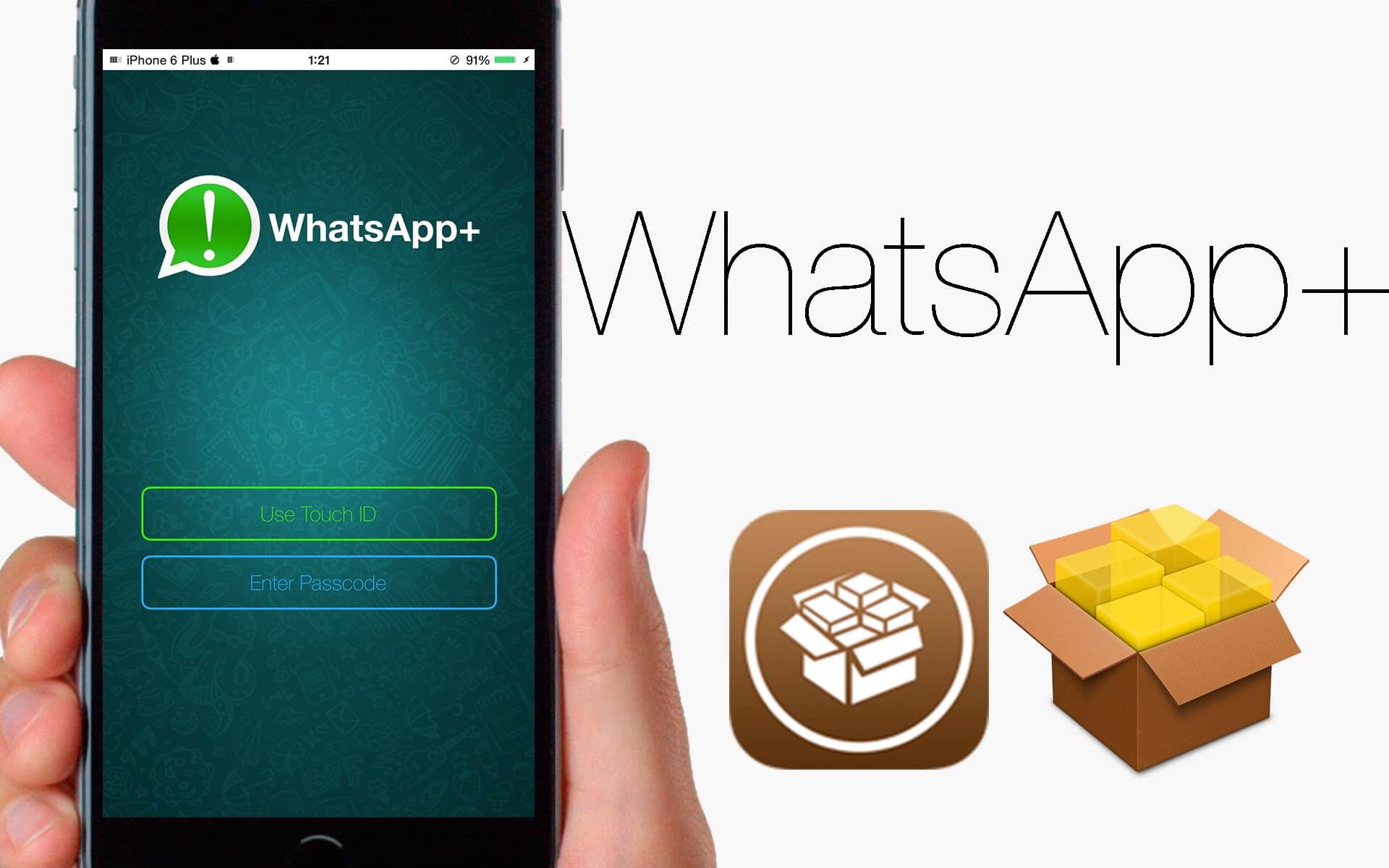 Añade Increíbles Funciones A Whatsapp 5830