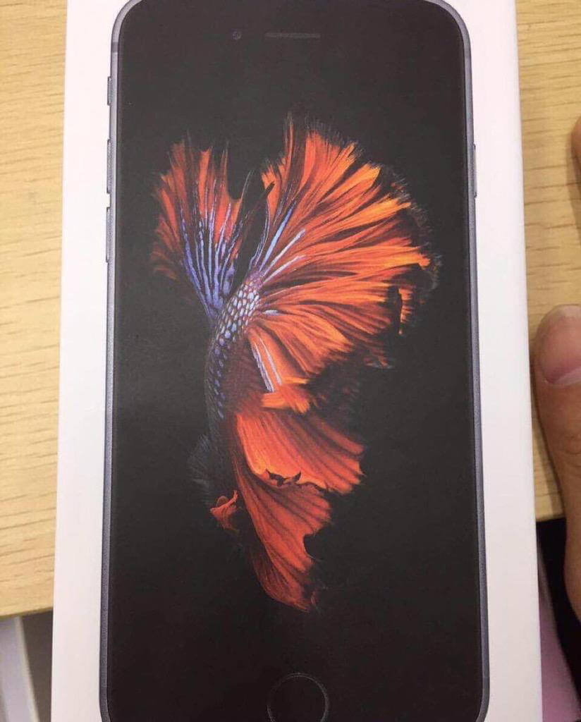 Moving wallpapers on the new iPhone lineup