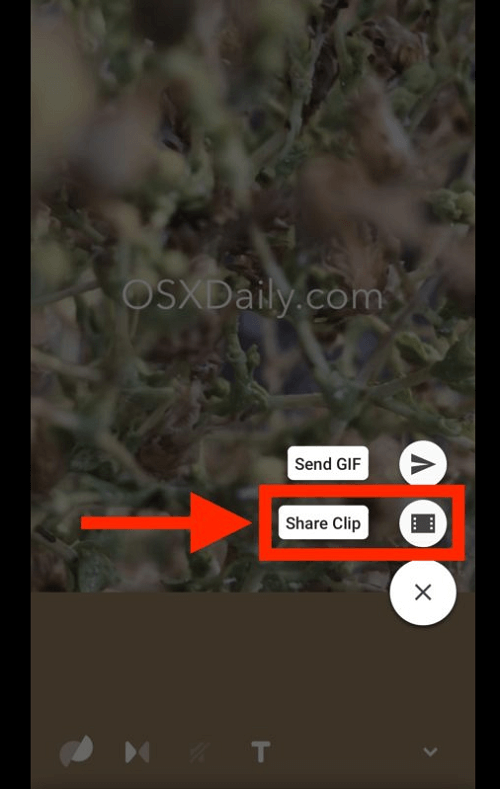 seleccionar-share-clip