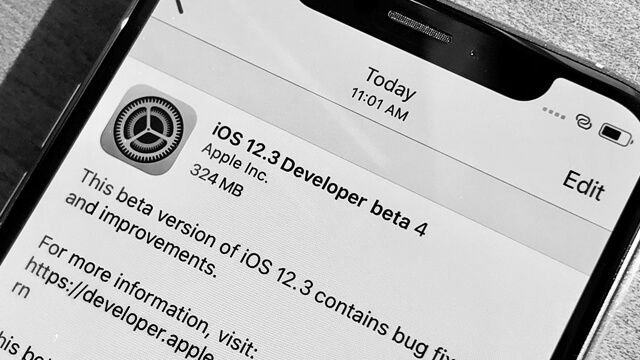 Beta 4 iOS 12.3